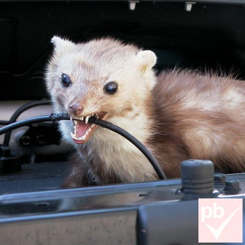 MNC autóba építhető nyestriasztó