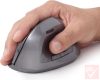 Gembird vezeték nélküli ergonomikus optikai egér (sötétszürke)