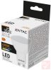 Entac LED fényforrás, GU10, 4W, 4000K, 305lm, spot
