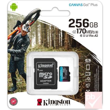 Kingston Canvas Go! Plus 256GB micro SD memóriakártya