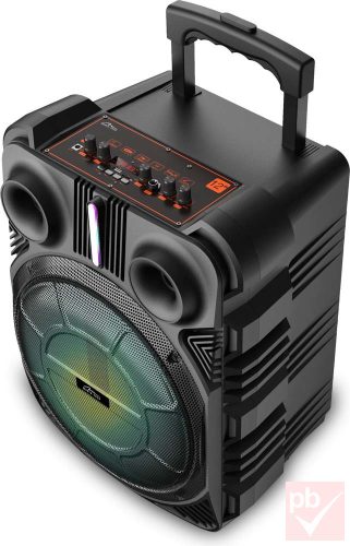 Media-Tech Boombox Trolley Bluetooth hangfal