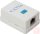 RJ45 fali doboz, 1db 8P8C aljzat, Cat5e, műanyag, fehér